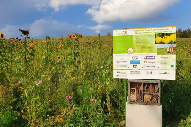 Bild vom Feld der Schaumann BioEnergy Blühpatenschaft