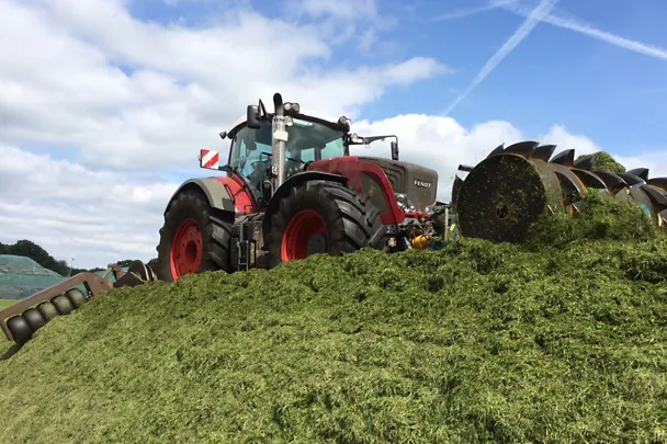 Traktor fährt Grassilage im SIlo fest