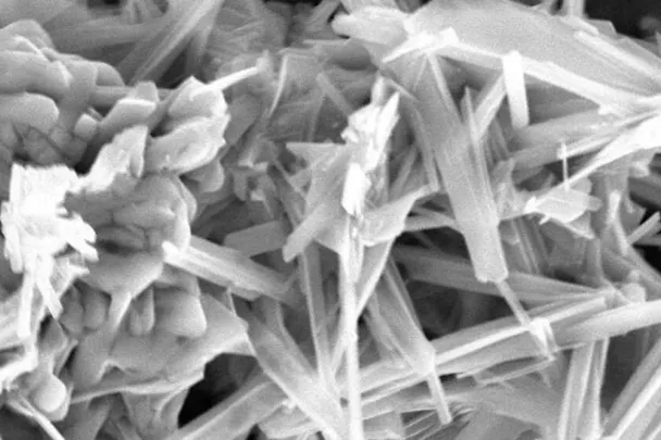 Mikroskopische Aufnahme ACTILINC