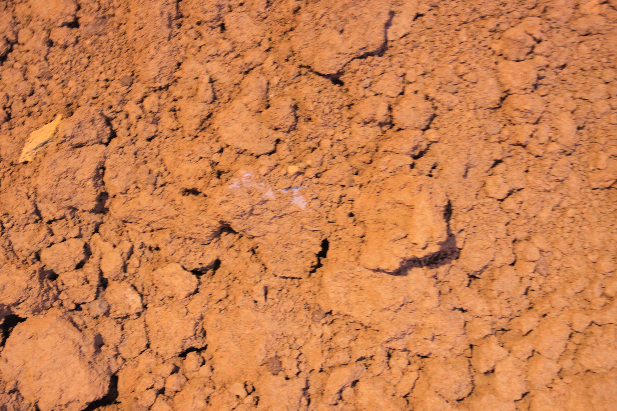 Produktion von BC.ATOX Scon Produktion von BC.ATOX Scon