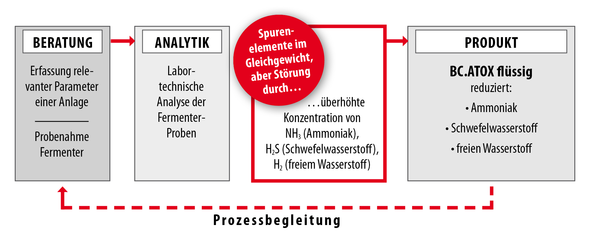 Prozessbegleitung - BC.ATOX flüssig
