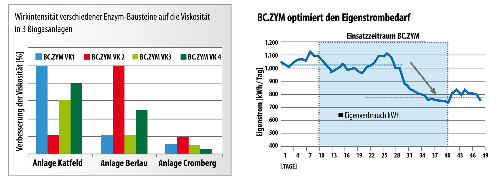 Infografik BC.ZYM