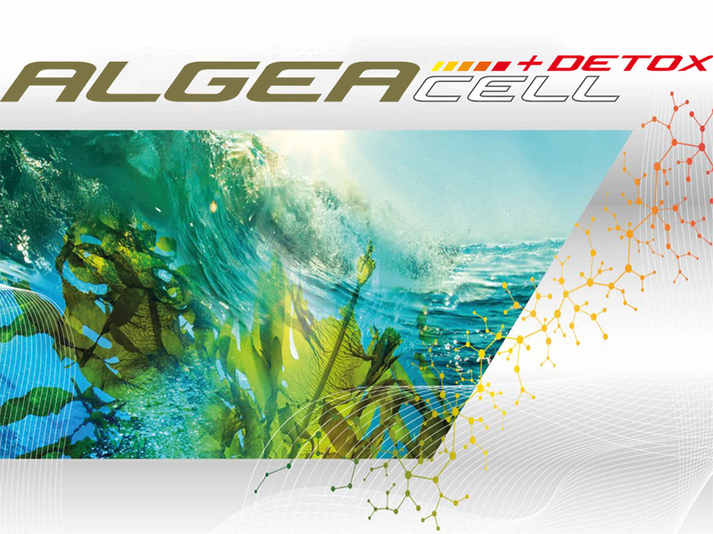 Imagebild ALGEACELL + DETOX mit Algenbild Imagebild ALGEACELL + DETOX mit Algenbild