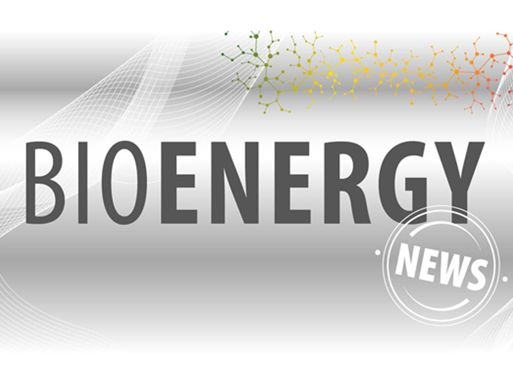 Teaserbild zu Schaumann BioEnergy NEWS Teaserbild zu Schaumann BioEnergy NEWS