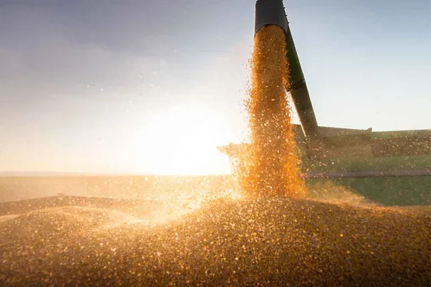 Nahaufnahme Getreideernte auf Anhänger