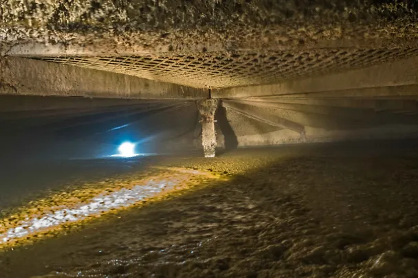Blick in den Fermenter
