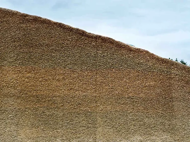 Siloanschnittfläche