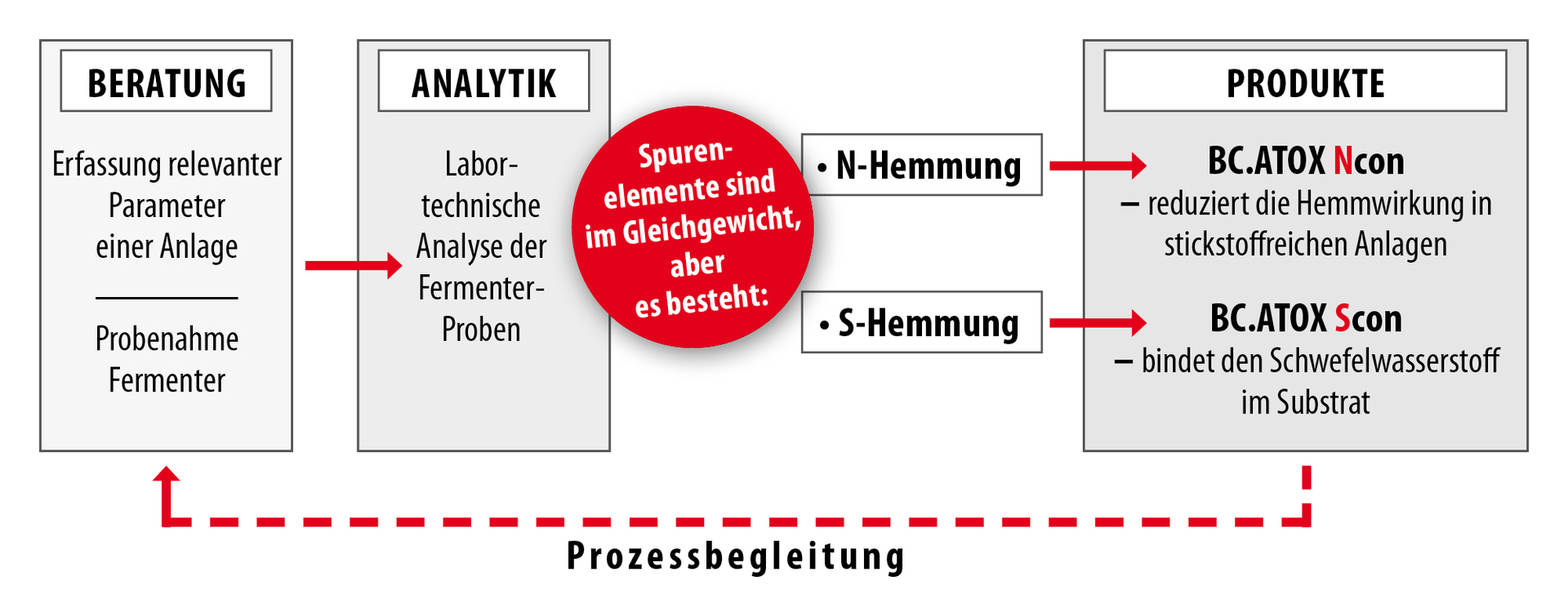 Prozessbegleitung bei der Entschwefelung BC.ATOX Ncon und BC.ATOX Scon Prozessbegleitung bei der Entschwefelung BC.ATOX Ncon und BC.ATOX Scon
