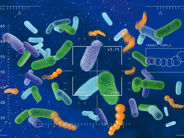 Grafik mikroskopische Aufnahme SILASIL.ENERGY H3 Grafik mikroskopische Aufnahme SILASIL.ENERGY H3